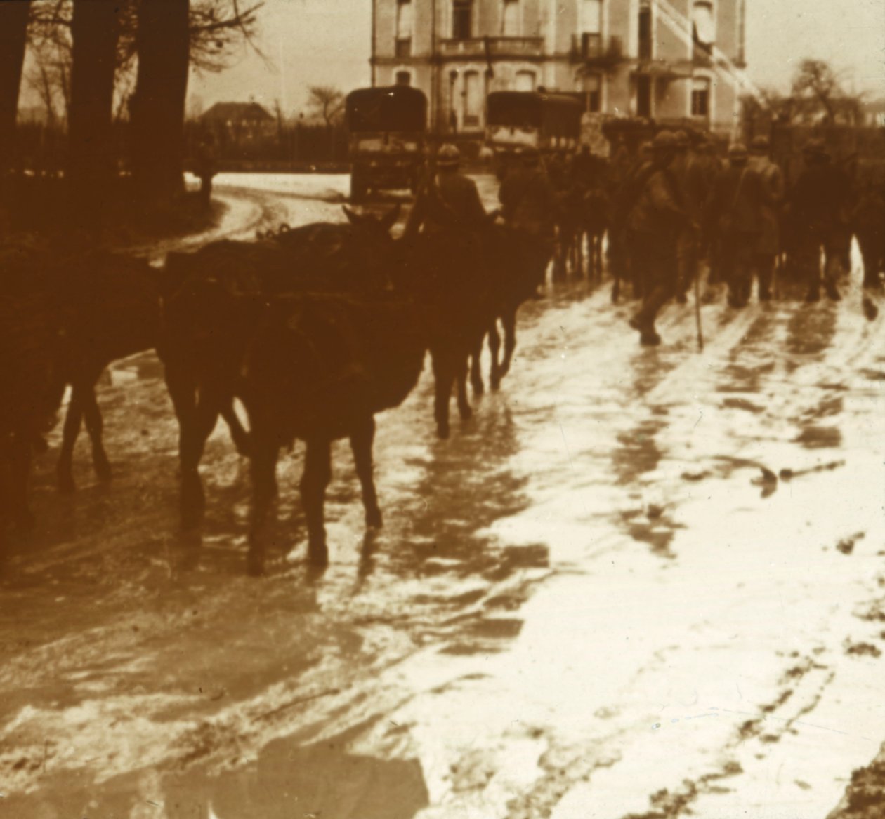 Mule vlak se zásobami, Verdun, severní Francie, c1914-c1918 od Unbekannt