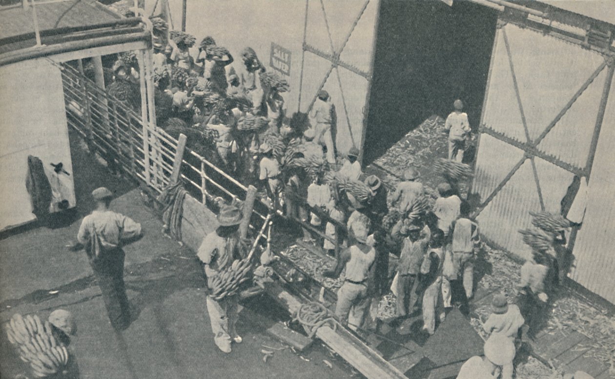 Domorodci nakládající banány v Kingstonu na Jamajce, zpívají skotské žalmy, 1937 od Unbekannt