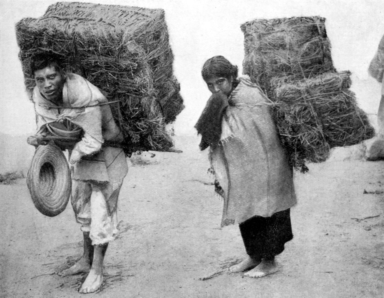 Rodáci z Mexika, 1926 od Unbekannt