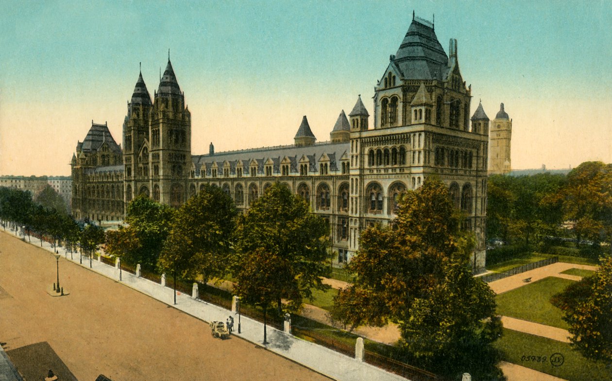Natural History Museum, Londýn, c1910. od Unbekannt