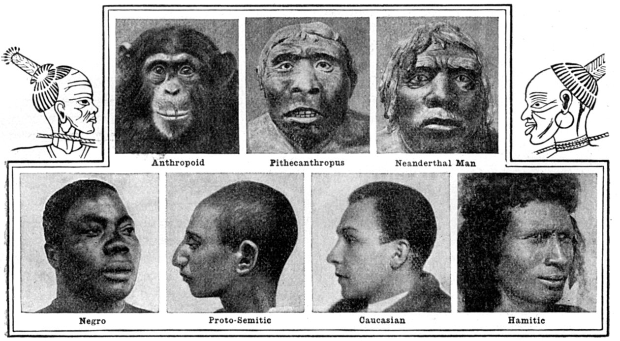 Natures evoluční design v nose, 1922 od Unbekannt