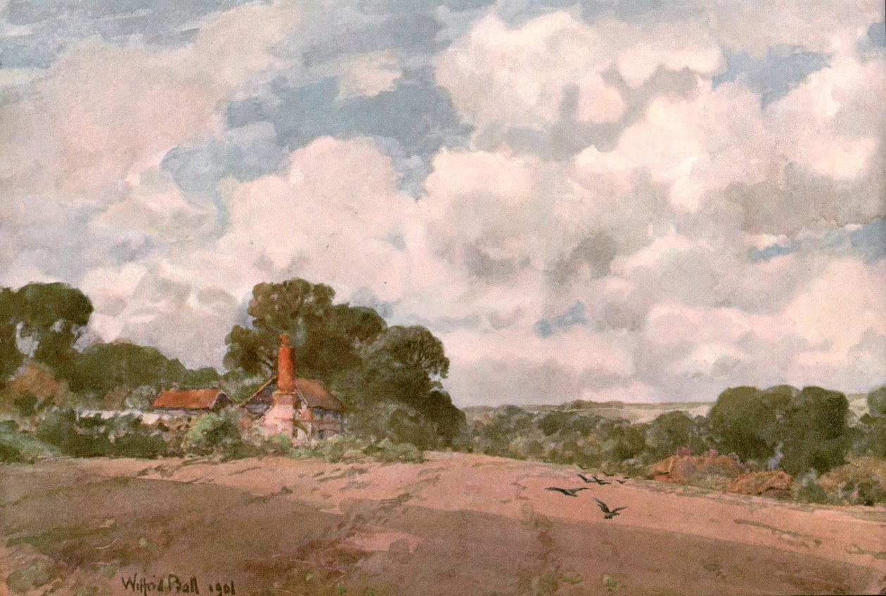 Blízko Hogsback, Surrey, 1901. od Unbekannt