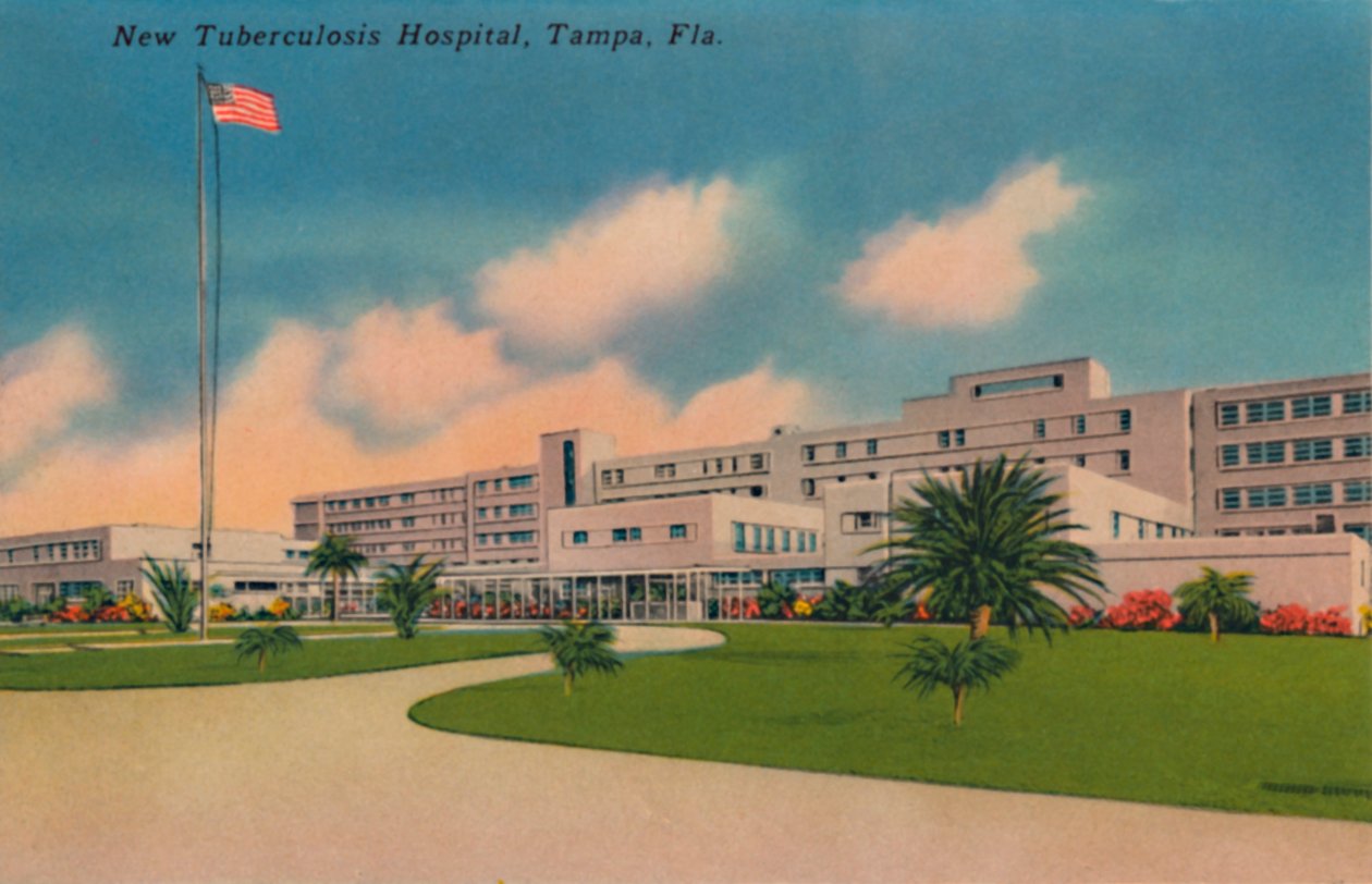 New Tuberculosis Hospital, Tampa, Florida, c1940s od Unbekannt