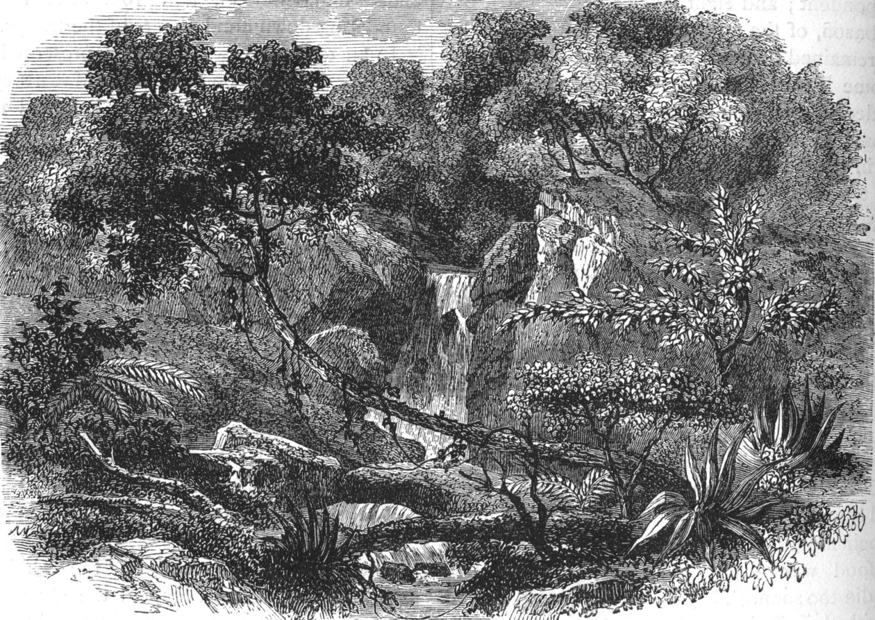 Krajina Nového Zélandu, c1880 od Unbekannt