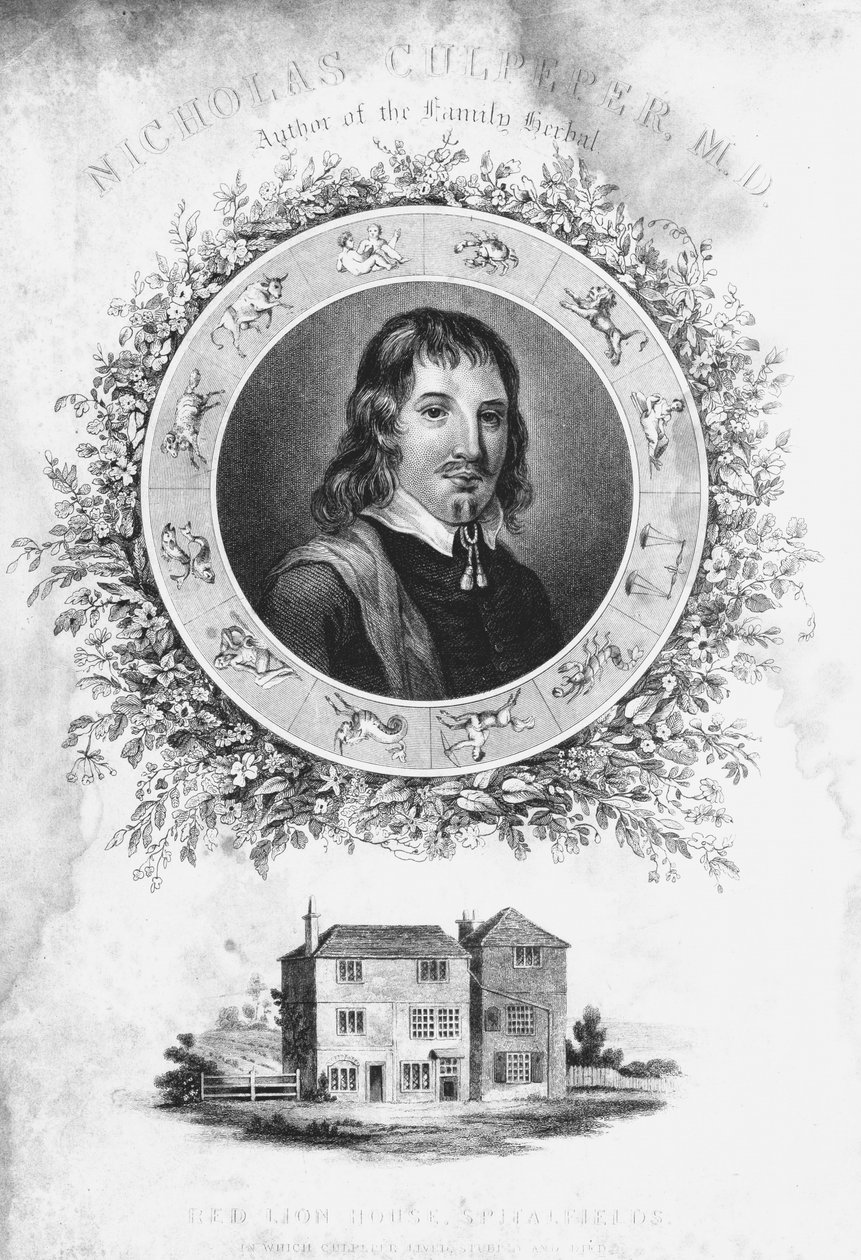 Nicholas Culpepper, c1650 19. století od Unbekannt