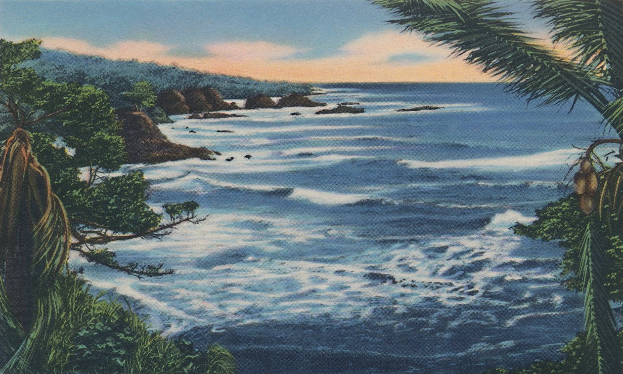 Severní pobřeží, Trinidad, B.W.I., c1940. od Unbekannt