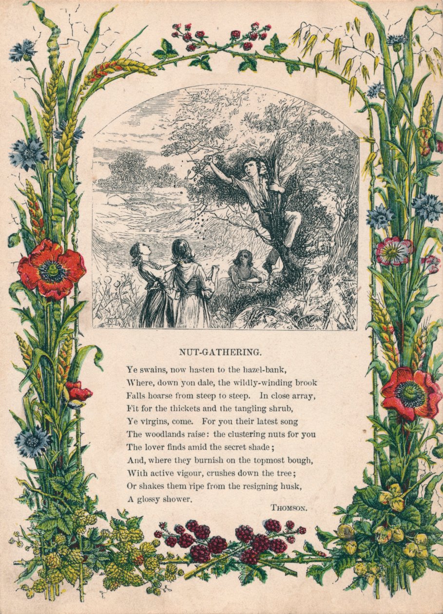 Nut-Gathering, Thomson, c1900 od Unbekannt