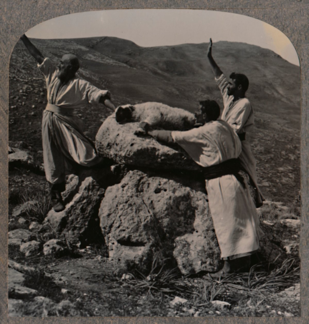 Obětování beránka na Altar, Moreh, c1900 od Unbekannt