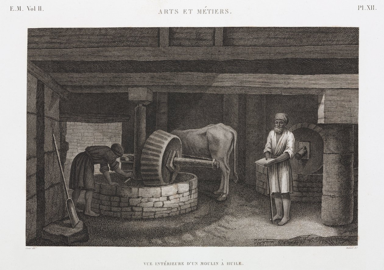 Oils, Fats & Waxes Oil Mill, Egypt, c 1798 od Unbekannt
