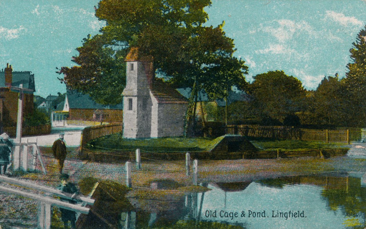 Stará klec a rybník, Lingfield, Surrey, c1905 od Unbekannt