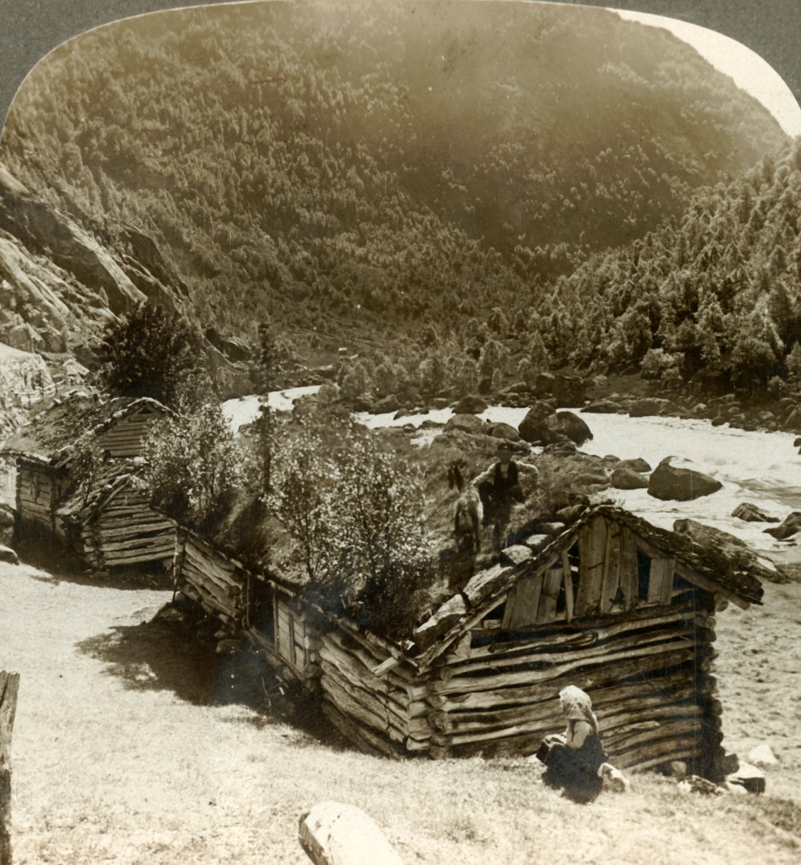 Staré srubové domy v Bratslandsdal, se stromy rostoucími na střechách pokrytých drnem, Norsko, c1905. od Unbekannt