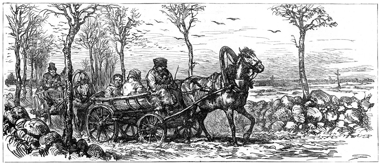 Na silnici poblíž Petrohradu, Rusko, 1882 od Unbekannt