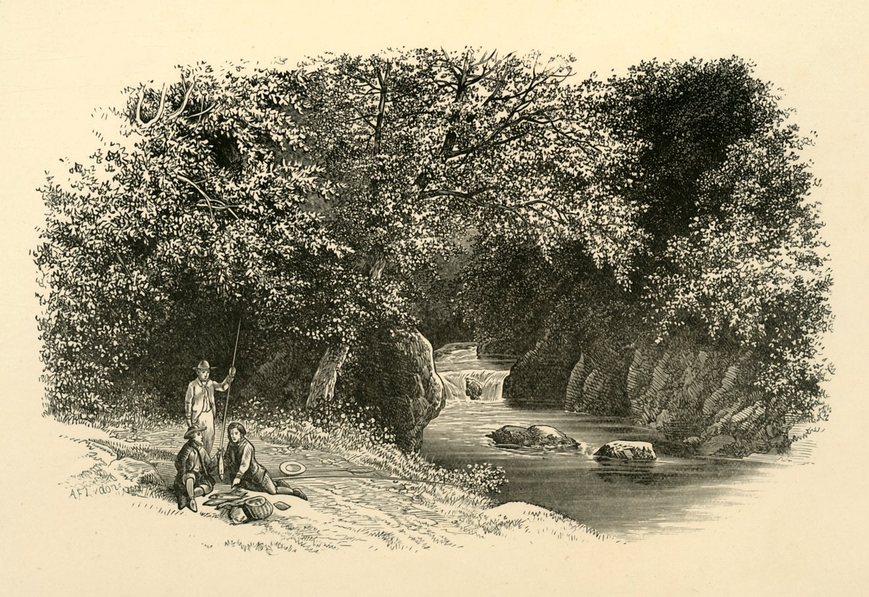 Na Dargle, c1890. od Unbekannt