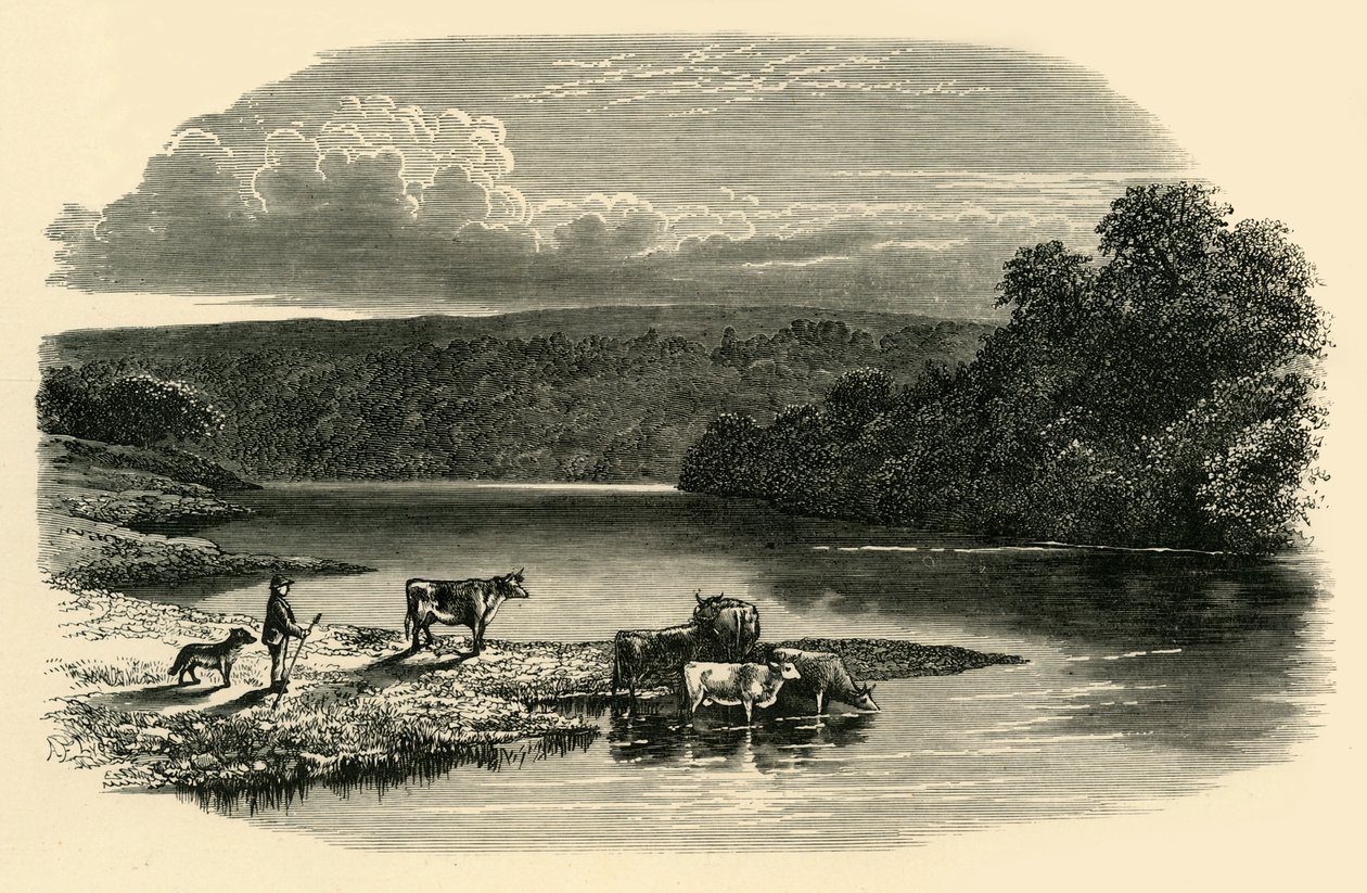 Na Dee, c1890. od Unbekannt