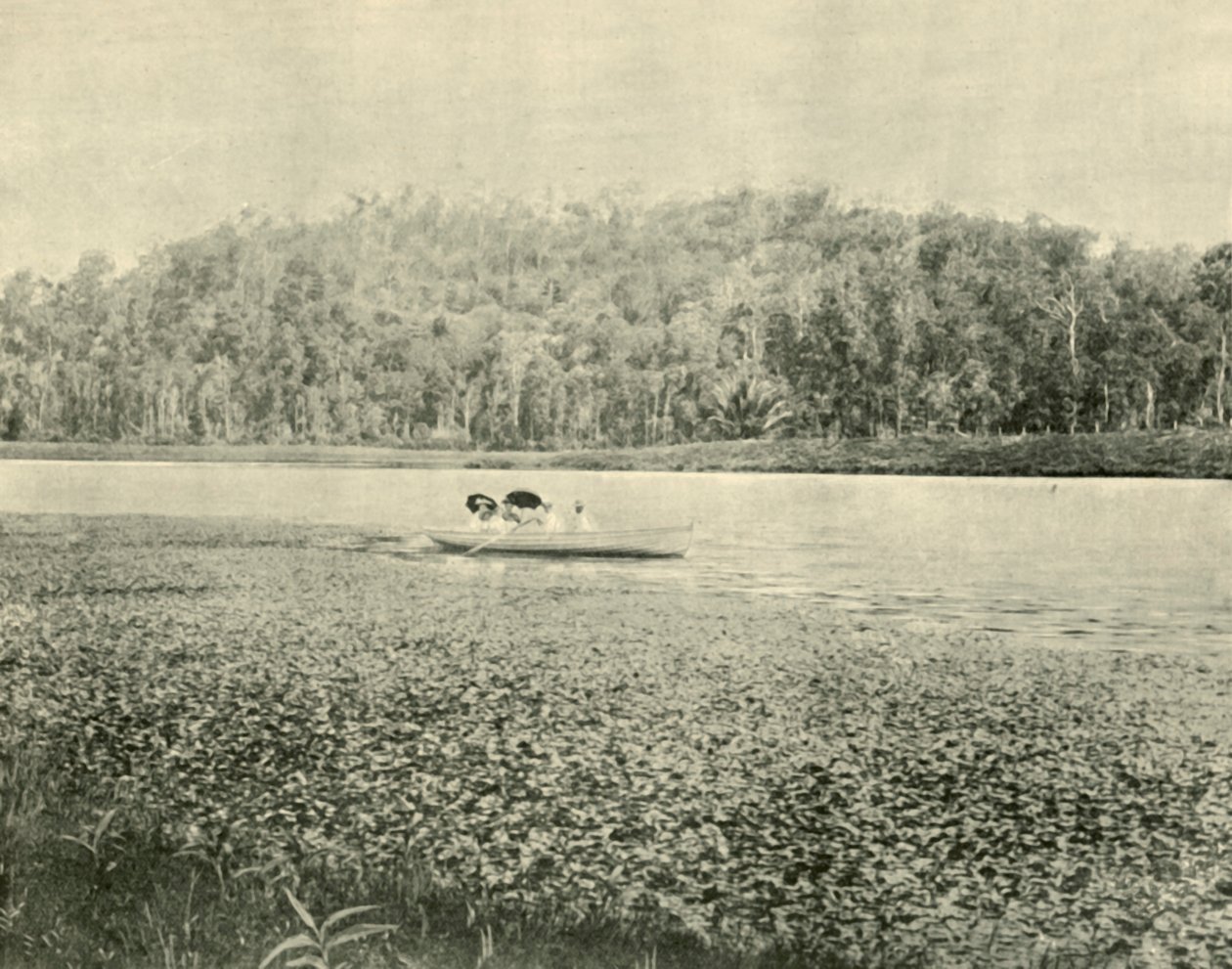 Na jezeře Enoggera, 1901. od Unbekannt