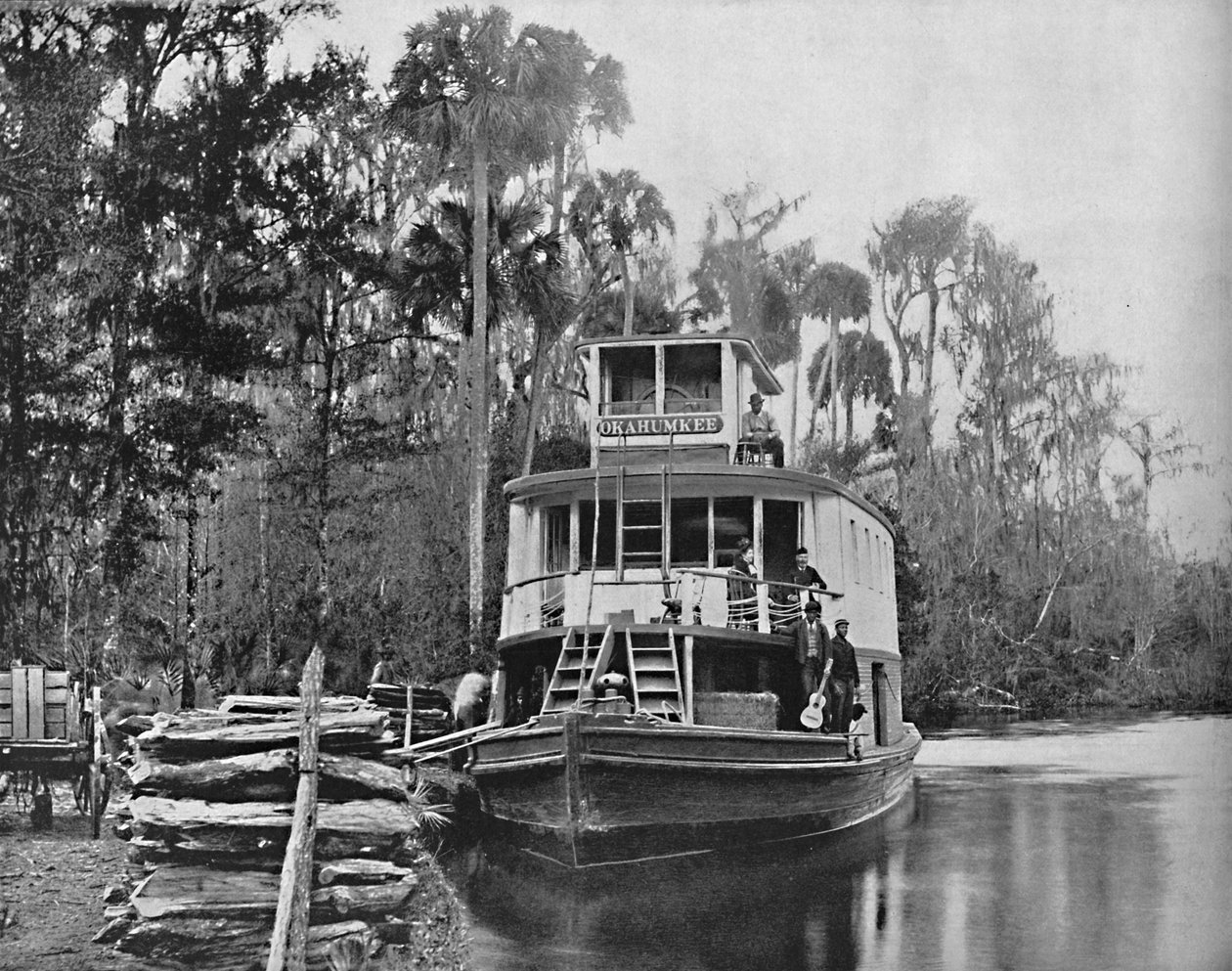 Na řece Ocklawaha, Florida, c1897. od Unbekannt