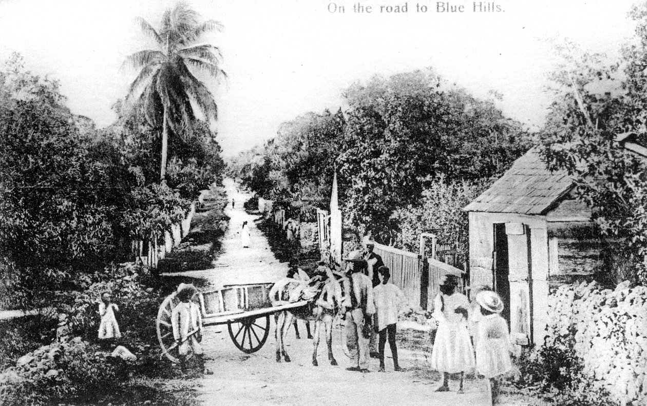 Na cestě do Blue Hills, Bahamy, 1900 od Unbekannt