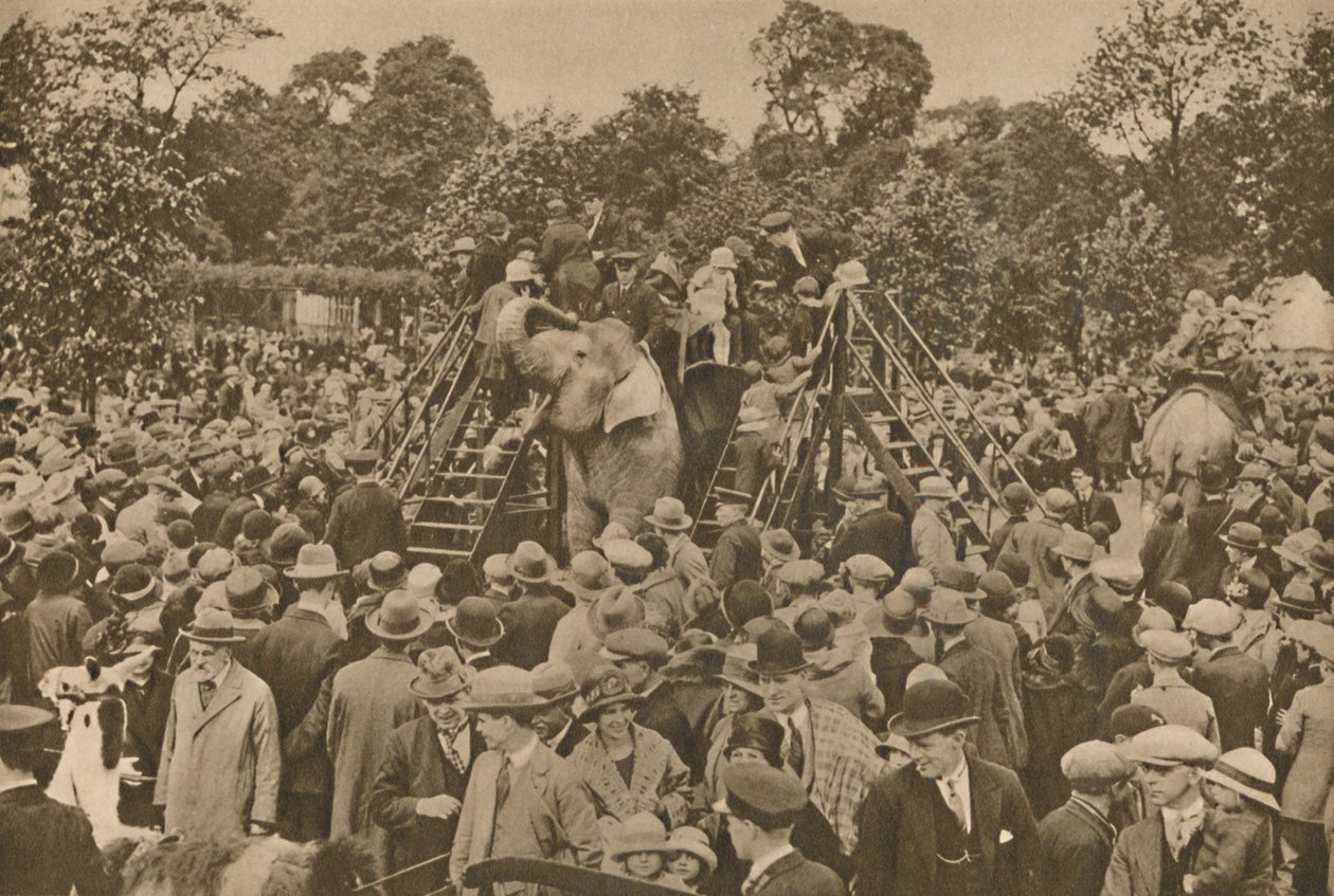 Jeden ze znaků naší civilizace: Dobře zásobené zoologické zahrady pro potěšení zvědavců, c193 od Unbekannt