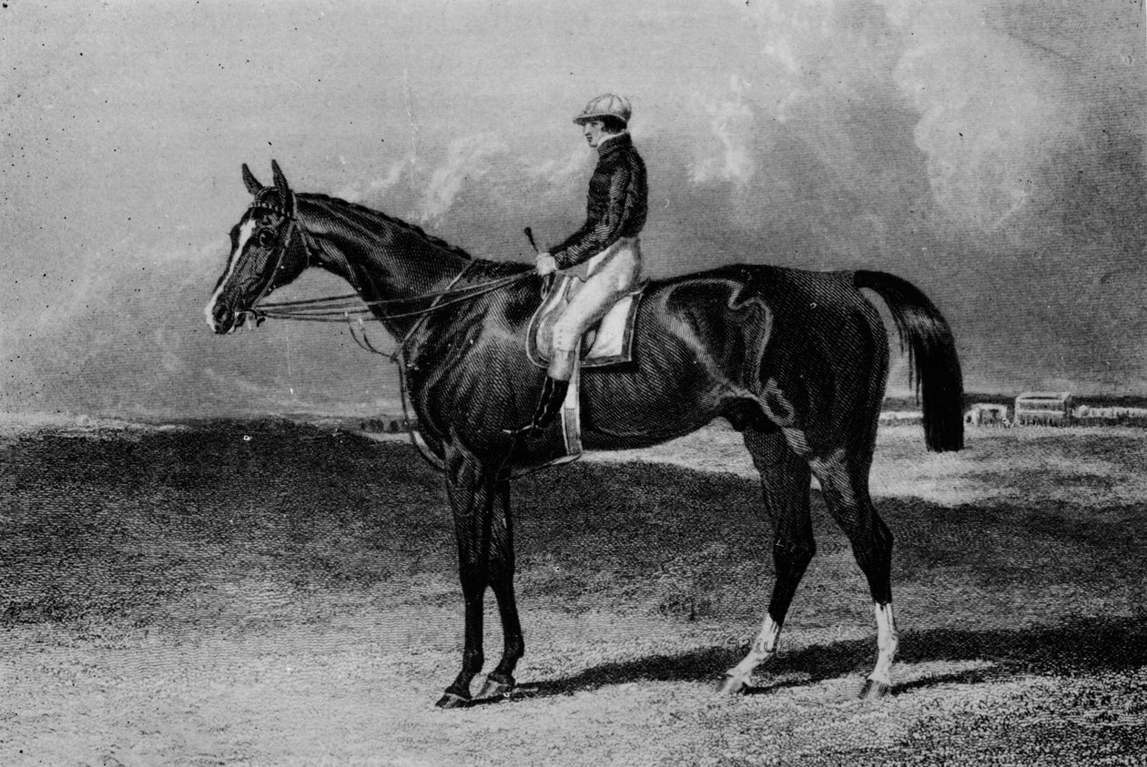 Orlando, c1841-1860, 1911 od Unbekannt