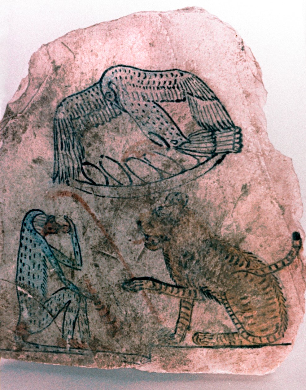 Fragment Ostracon, Gepard, Pták a Opice, Egypt od Unbekannt
