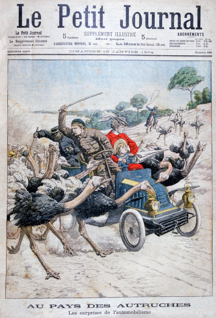 Pštrosi útočící na auto, Kalifornie, USA, 1904 od Unbekannt