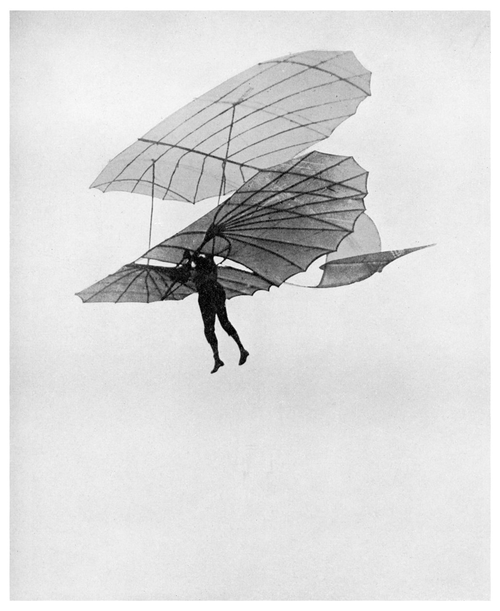 Otto Lilienthal uskutečnil jeden ze svých posledních letů, 1896 1956 od Unbekannt