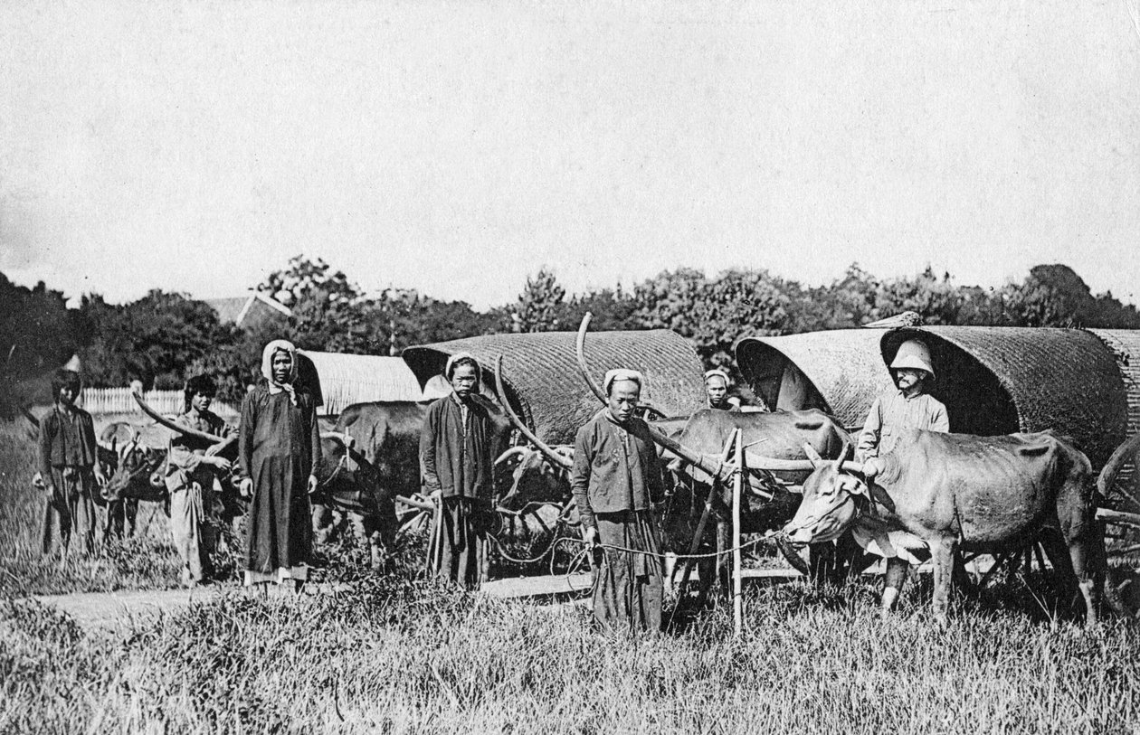 Volské povozy, Cochin, Čína, Vietnam, 20. století od Unbekannt