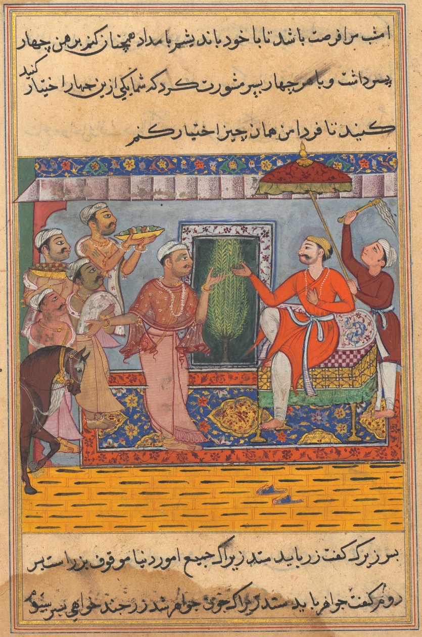 Stránka z Tales of a Parrot Tuti-nama: Jedenáctá noc: Brahman, neschopný vybrat..., c. 1560. od Unbekannt