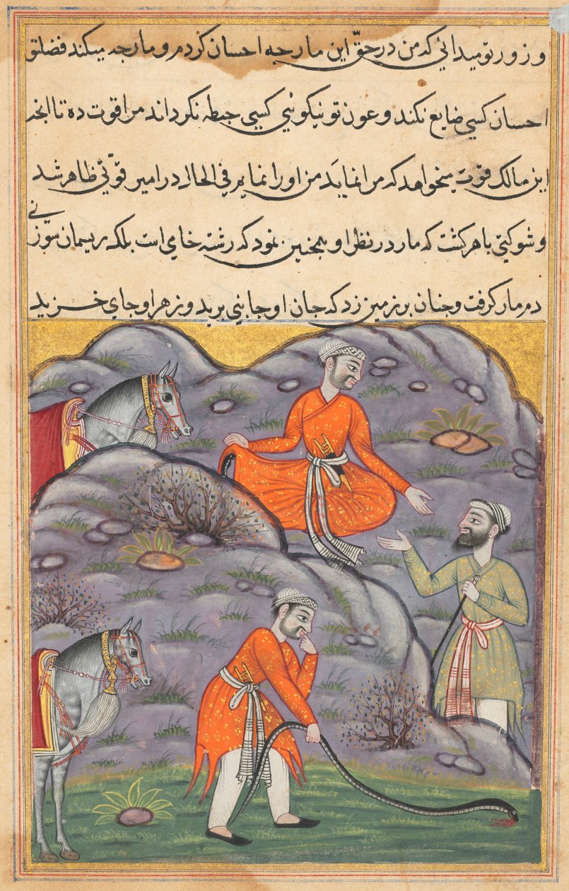 Stránka z Tales of a Parrot Tuti-nama: Čtyřicátá pátá noc: Amir zabíjí hada..., c. 1560. od Unbekannt