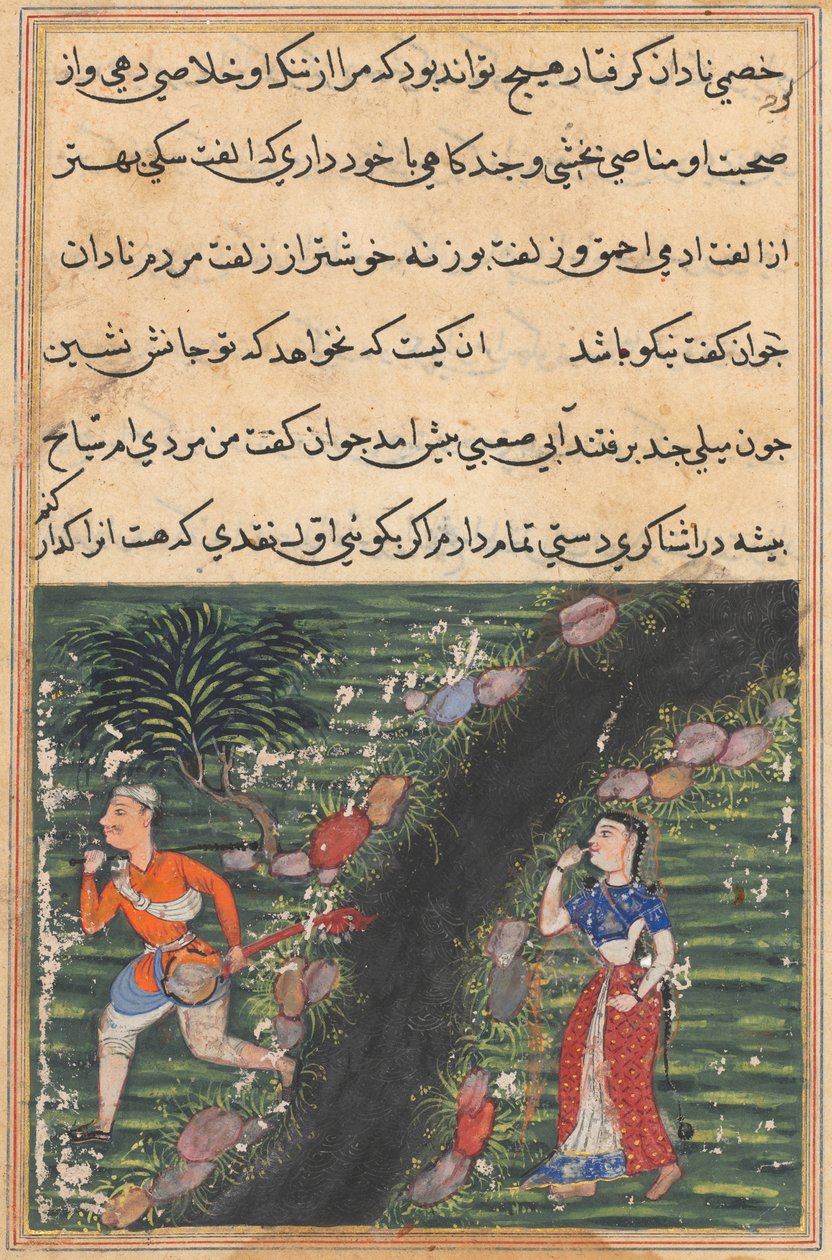 Stránka z Příběhů papouška Tuti-nama: Šestnáctá noc: Vagabond se kříží..., c. 1560. od Unbekannt