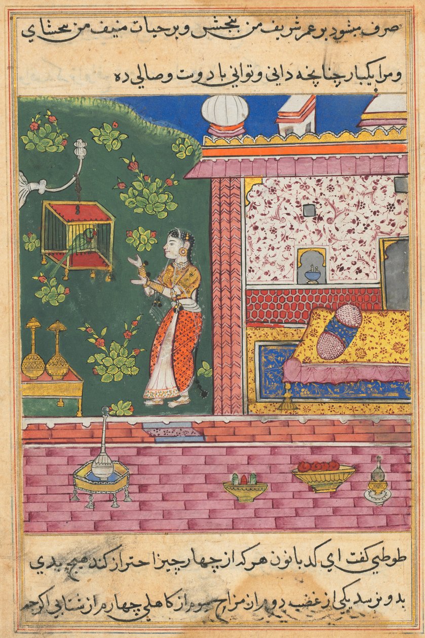 Stránka z Příběhů papouška Tuti-nama: Třicátá noc: Papoušek osloví Khujastu..., c. 1560. od Unbekannt