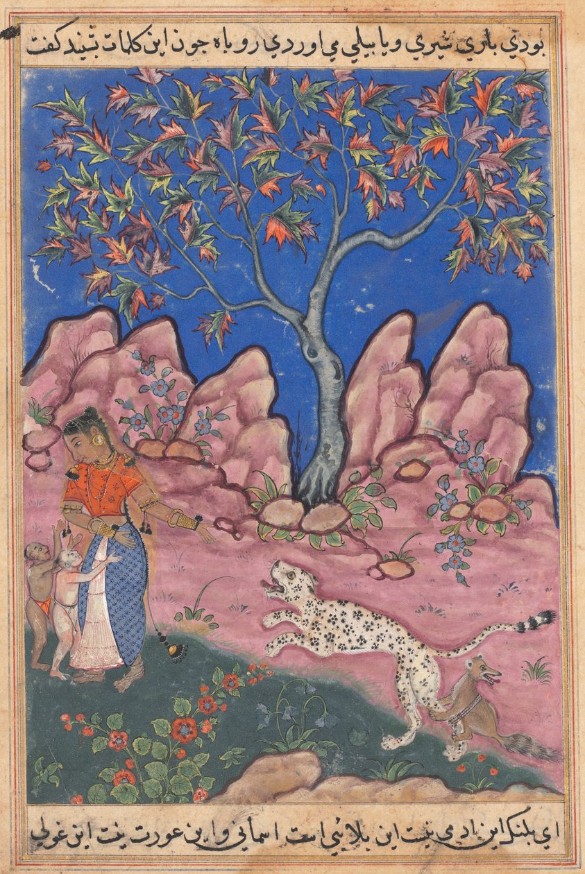 Stránka z Příběhů papouška Tuti-nama: Třicátá noc: Žena konverzující..., c. 1560. od Unbekannt