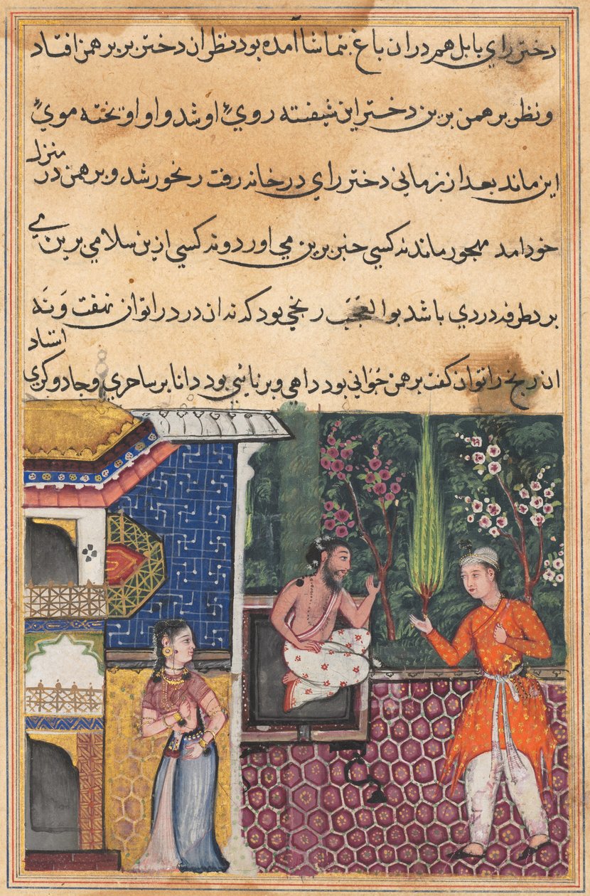 Stránka z Tales of a Parrot Tuti-nama: Třicátá pátá noc: Brahman dává..., c. 1560. od Unbekannt