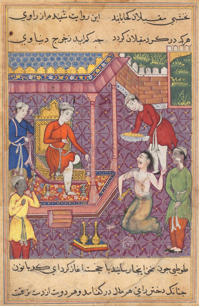Stránka z Příběhů papouška Tuti-nama: Třicátá pátá noc: Kouzelník převlečený..., c. 1560. od Unbekannt