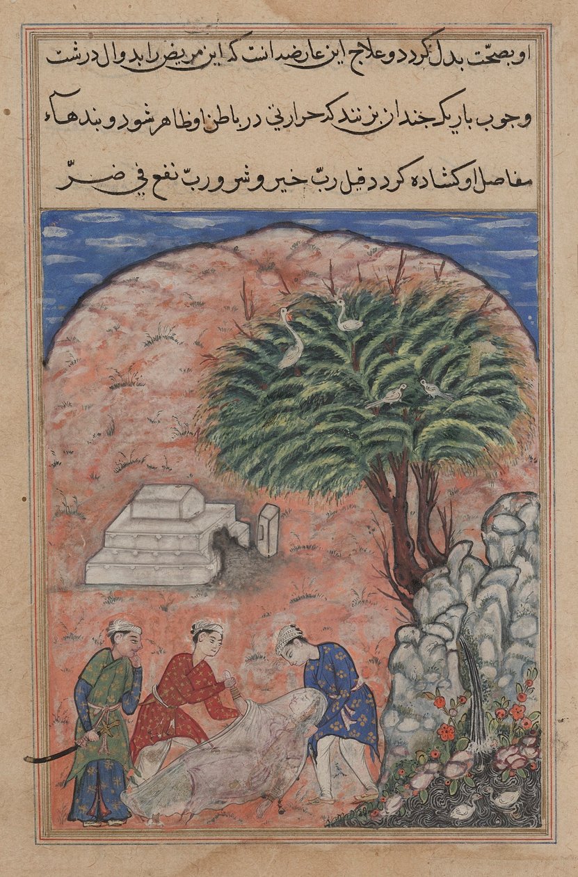 Stránka z Tales of a Parrot Tuti-nama: Dvacátá noc: Nápadníci berou..., c. 1560. od Unbekannt