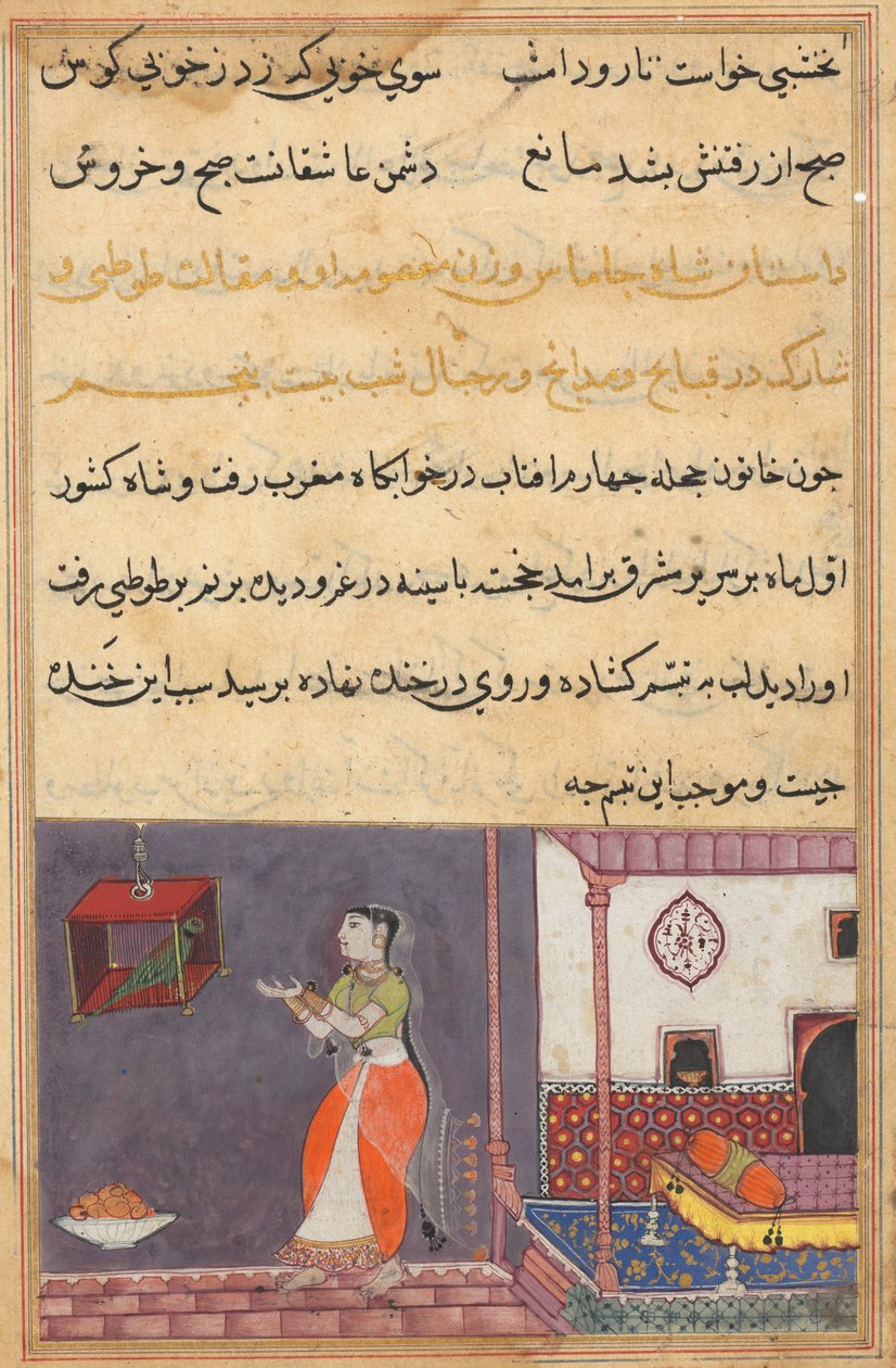 Stránka z Tales of a Parrot Tuti-nama: Dvacátá pátá noc: Papoušek osloví Khujasta..., c1560 od Unbekannt