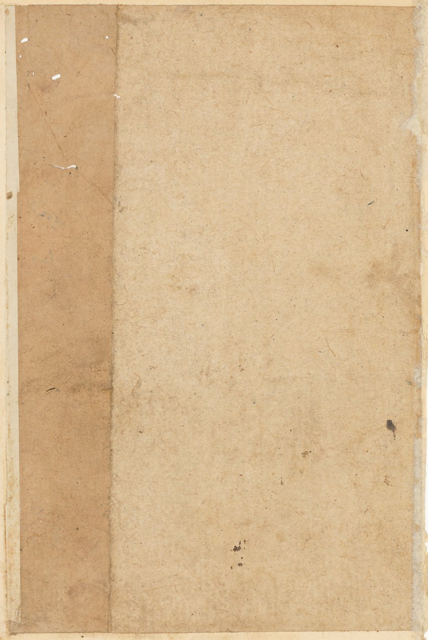 Stránka z Tales of a Parrot Tuti-nama: prázdná stránka, c. 1560. od Unbekannt