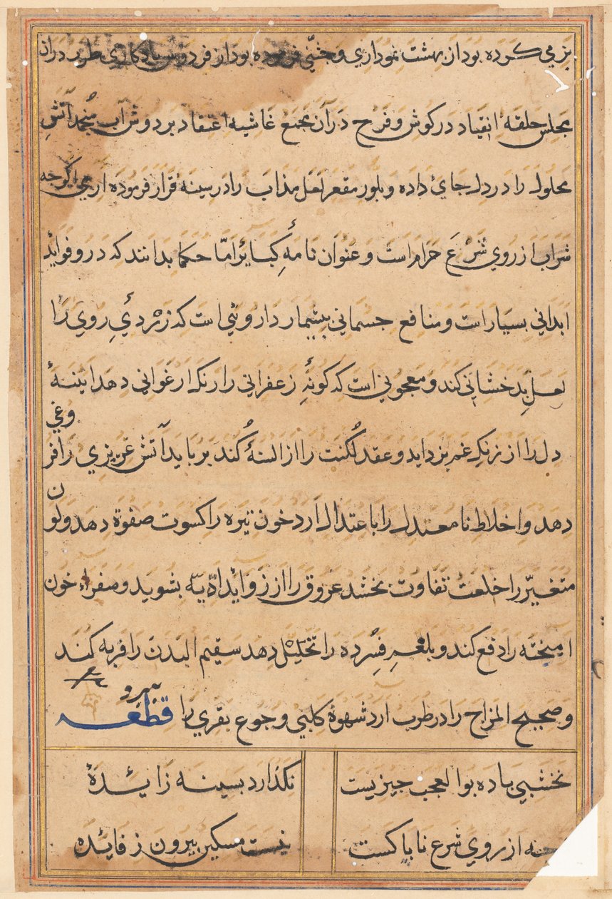 Stránka z Příběhů papouška Tuti-nama: textová stránka, c. 1560. od Unbekannt