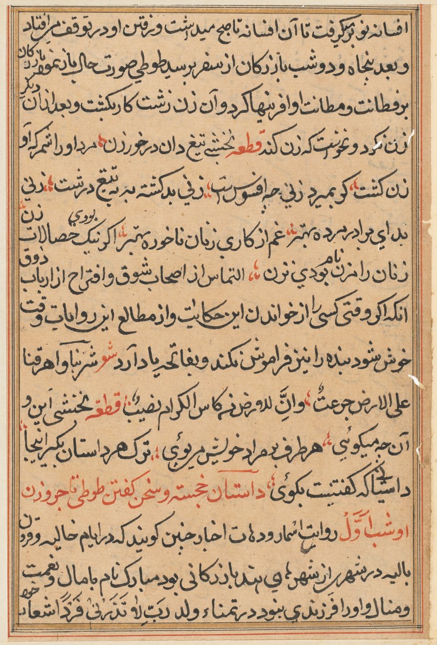 Stránka z Příběhů papouška Tuti-nama: textová stránka, c. 1560. od Unbekannt
