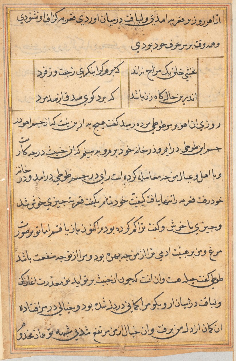 Stránka z Příběhů papouška Tuti-nama: textová stránka, c. 1560. od Unbekannt