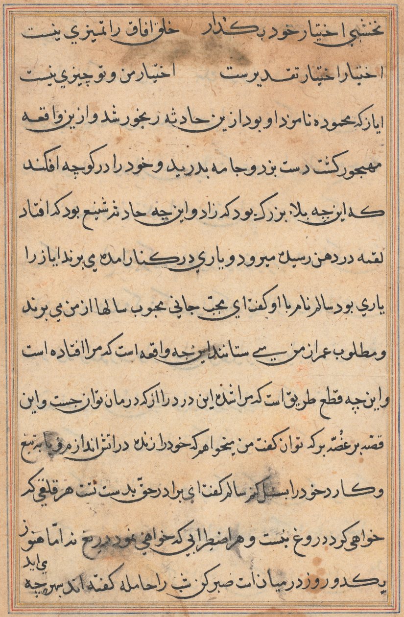 Stránka z Příběhů papouška Tuti-nama: textová stránka, c. 1560. od Unbekannt