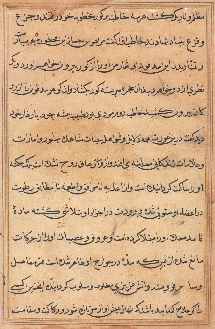 Stránka z Příběhů papouška Tuti-nama: textová stránka, c. 1560. od Unbekannt