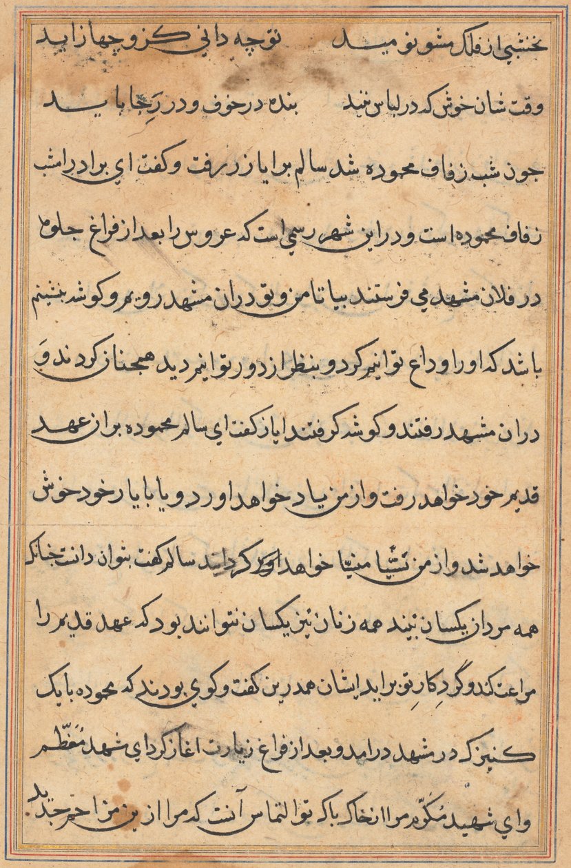 Stránka z Příběhů papouška Tuti-nama: textová stránka, c. 1560. od Unbekannt