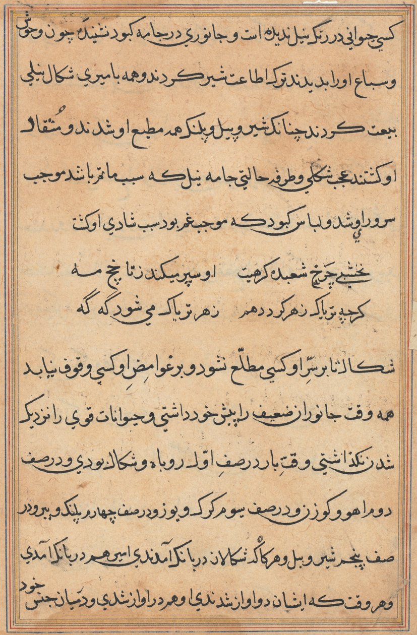 Stránka z Příběhů papouška Tuti-nama: textová stránka, c. 1560. od Unbekannt