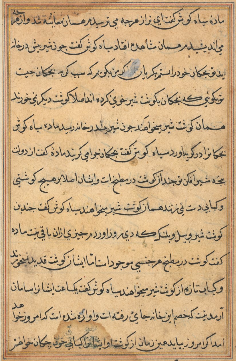 Stránka z Příběhů papouška Tuti-nama: textová stránka, c. 1560. od Unbekannt
