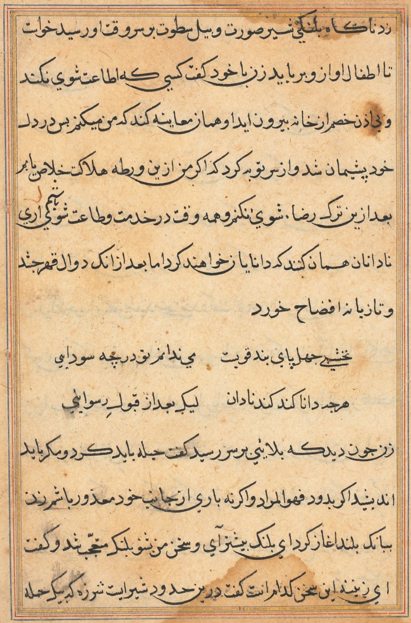 Stránka z Příběhů papouška Tuti-nama: textová stránka, c. 1560. od Unbekannt
