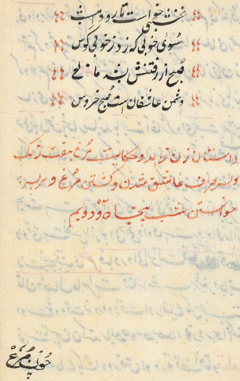 Stránka z Příběhů papouška Tuti-nama: textová stránka, c. 1560. od Unbekannt