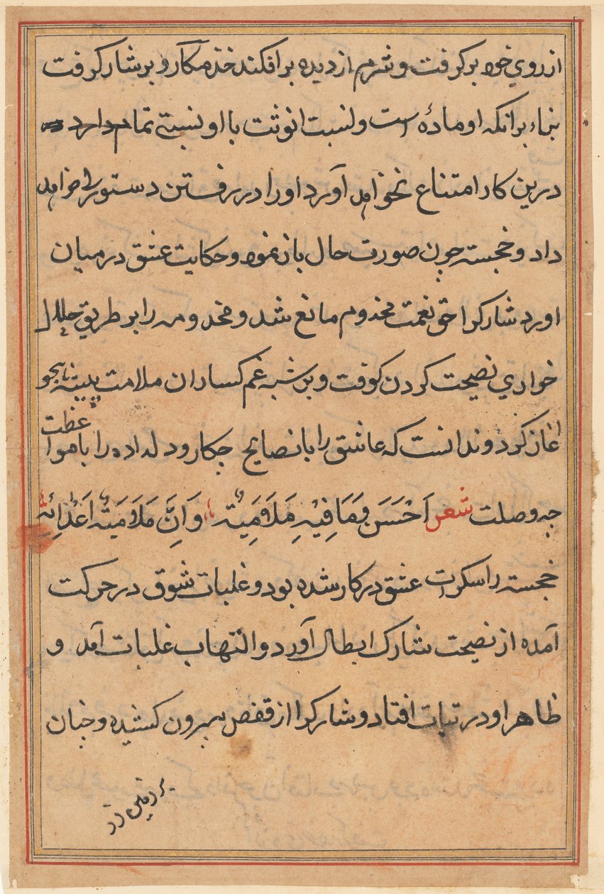 Stránka z Příběhů papouška Tuti-nama: textová stránka, c. 1560. od Unbekannt