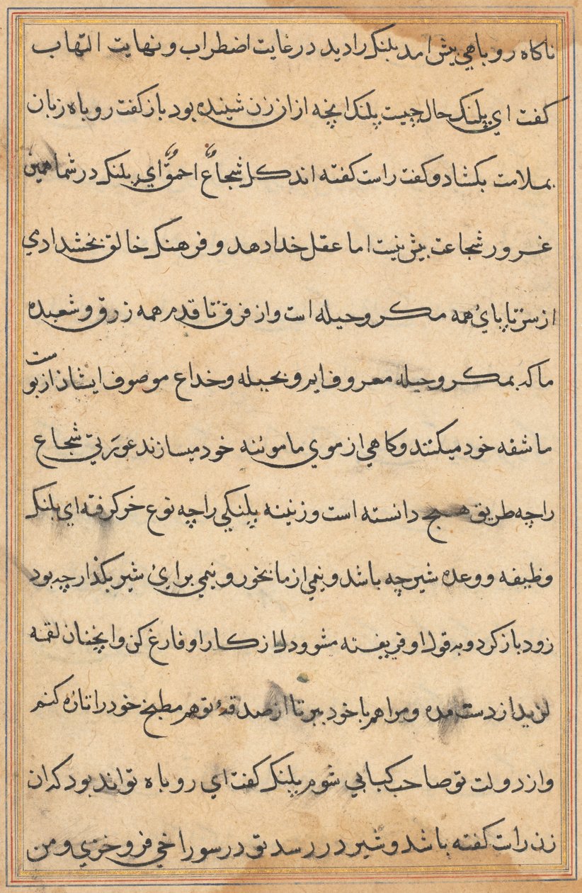 Stránka z Příběhů papouška Tuti-nama: textová stránka, c. 1560. od Unbekannt