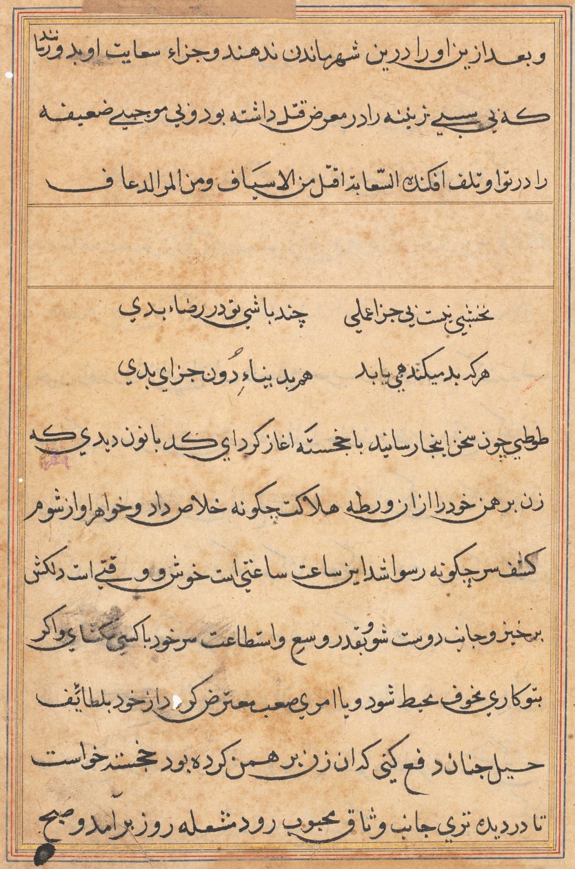 Stránka z Příběhů papouška Tuti-nama: textová stránka, c. 1560. od Unbekannt